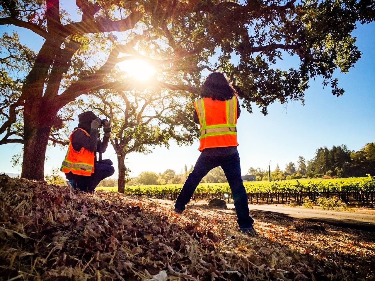 Stephen-Austin-Welch-director-photographer-behind-the-scenes-bts-safety-vests-winery