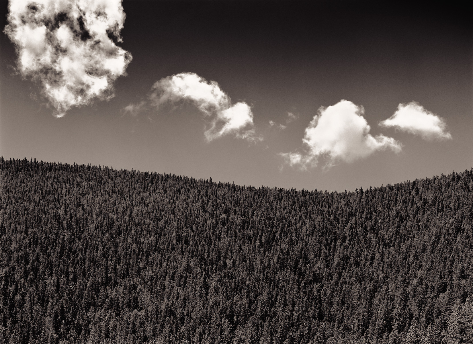 Stephen Austin Welch commercial director & advertising and fine art landscape photographer clouds over fir ridge B&W black and white sepia selenium duo-toned photography: moody and dramatic fine art photographs