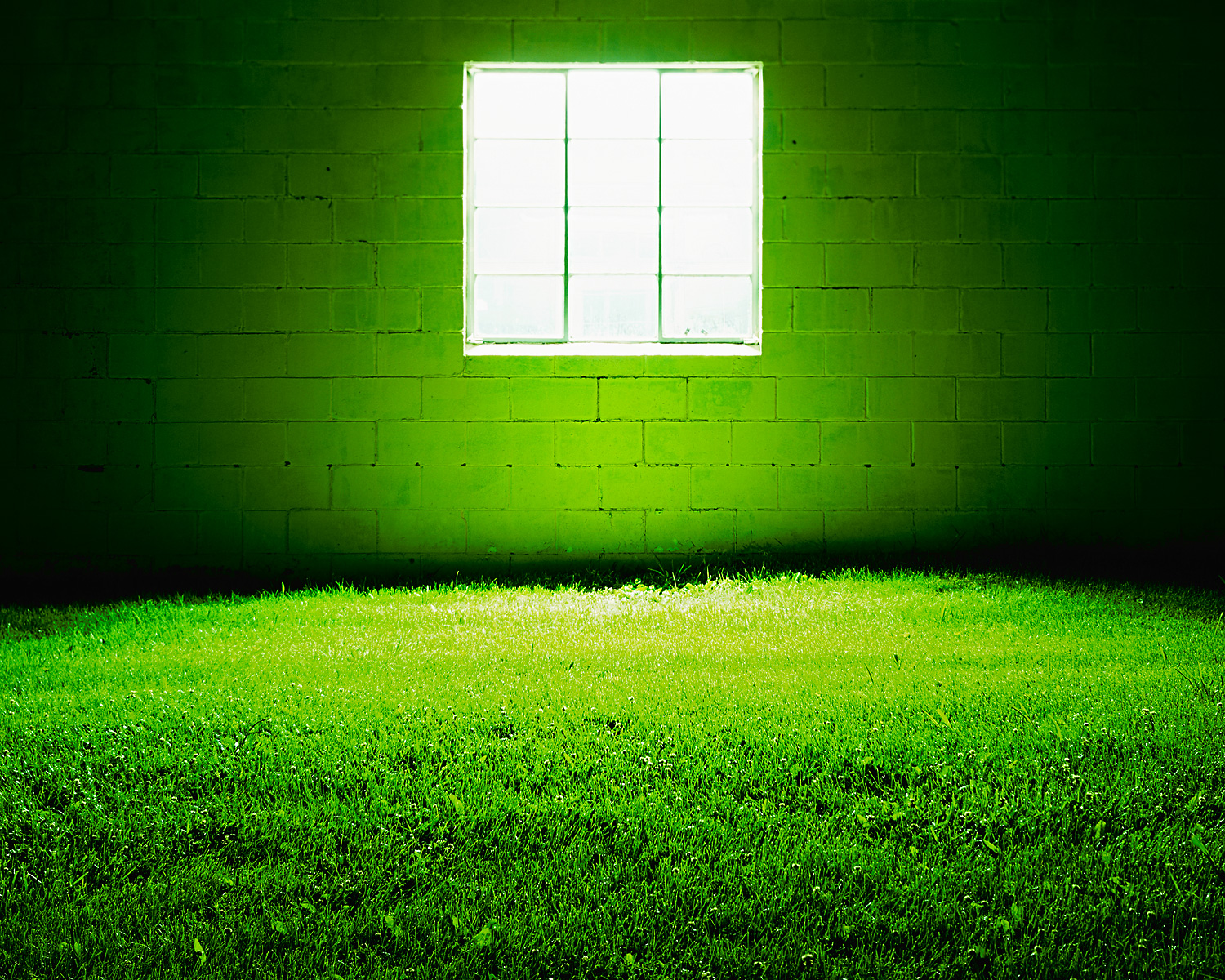 green_grass_room-4x5-stephen-austin-welch-director-photographer